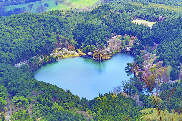 半田山自然公園